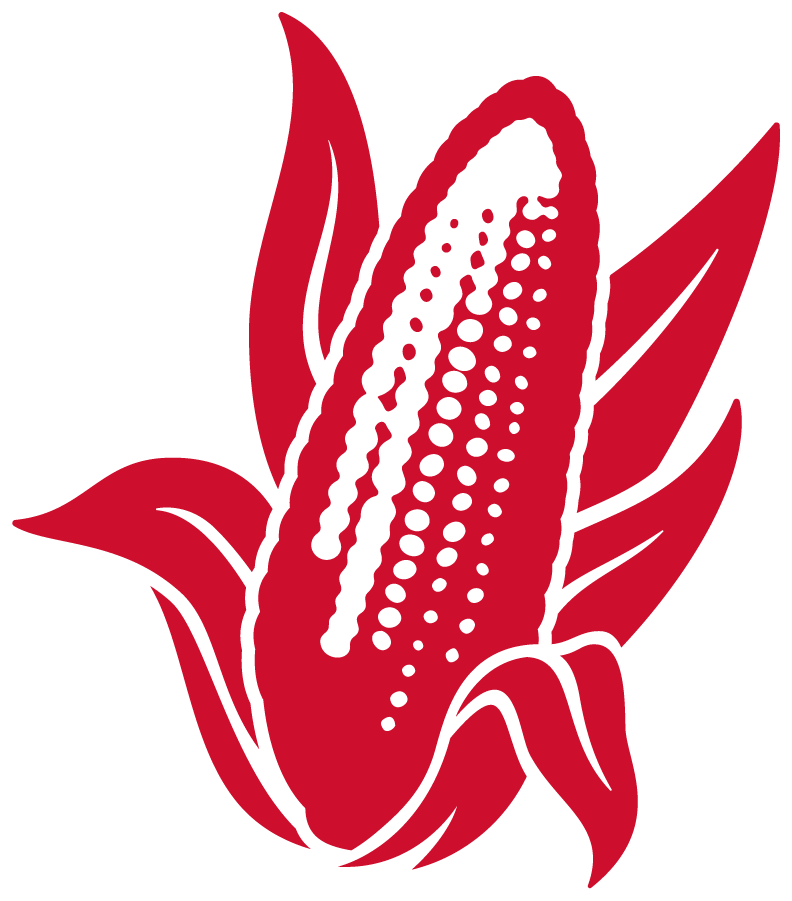 Nebraska Cornhuskers 2023-Pres Throwback Logo diy DTF decal sticker